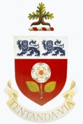 York University